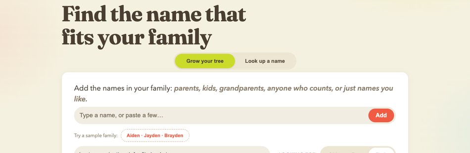 nametree Baby Name Product - Liz Chang